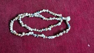 Seashell Necklace- Unused