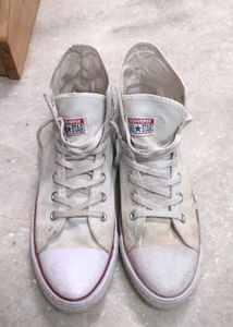 Converse All Star Sneakers