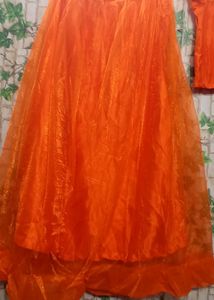 Homemade Lehnga Choli