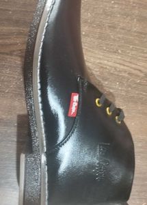 New Trendy Boots