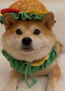 Cute Hamburger Pet Hat