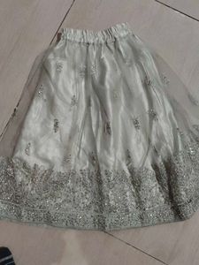 Embellished Lehenga Choli