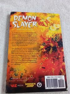 Demon Slayer 8