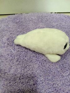 Adorable TY Beanie Baby Seal Plush