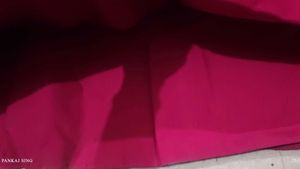 Stunning pink Sequined Lehenga Choli