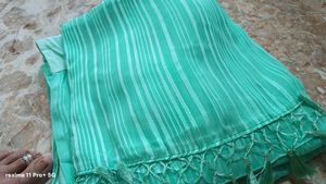 Elegant Saree with Sequined Blouse