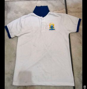 Stylish Polo T-Shirt + Grey Jeans Combo 👖 Casual