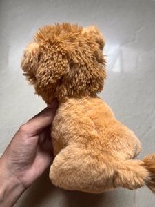 Lion Stuff Toy