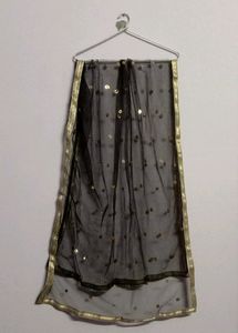 Two Dupatta Party Wear 😍