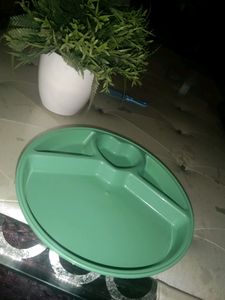 kids partition 2 plates