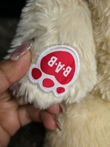 Cute Cream Teddy Bear