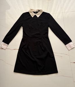 Classic Black Collared Dress