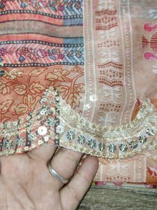 Pure Organza Work Duptta