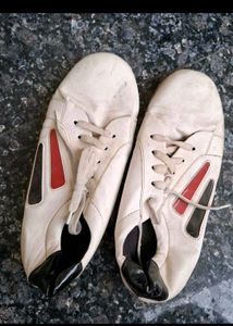 Sport Shoes