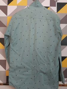 New Sea Green Shirt