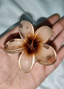 Floral Brown Hair Clip 🤎