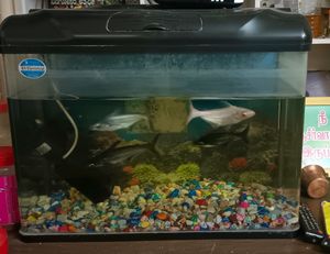 Fish Tank For Ur Beautiful House