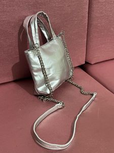 Chic Silver Mini Handbag