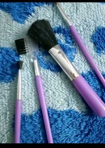 Combo offer  Set Of 4 Brushes + Purse ,+ Top Loose