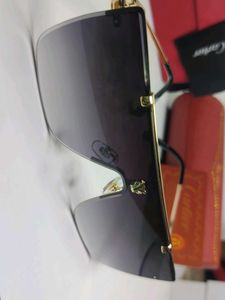 Designer Shield Sunglasses by Cartier