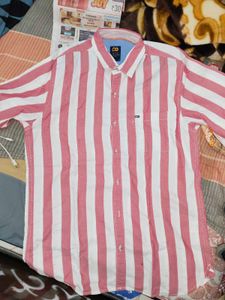 Peter England Striped Casual Shirt