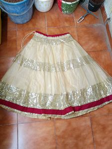 Sequin Lehenga Choli Set