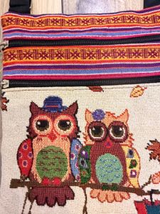 Cute Owl Crossbody Bag