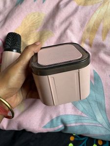 Portable Wireless Microphone and Speaker Set