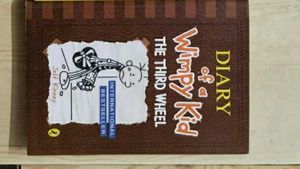 Diary of a Wimpy Kid: The Third Wheel
