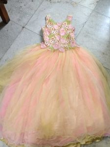 a cindrella gown dress