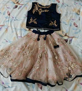 Embroidered Lehenga Choli Set