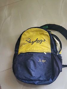 Skybags Backpack