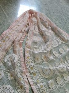 Elegant Embroidered Net Dupatta