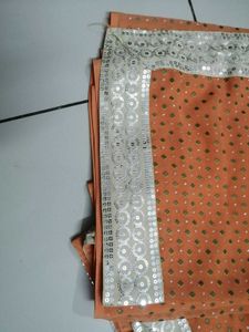 Elegant Orange Saree with Embellished Border