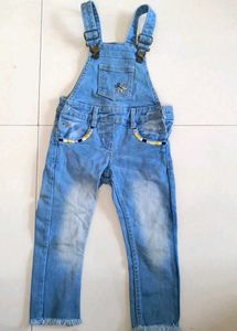 Denim Overalls