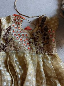Elegant Peacock Embroidered Gown used
