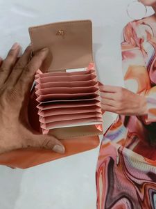 Baggit Women Wallet