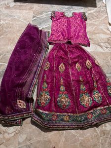 Beautiful Embroidered Lehenga Choli