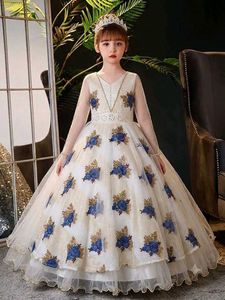 Embroidered Princess Dress