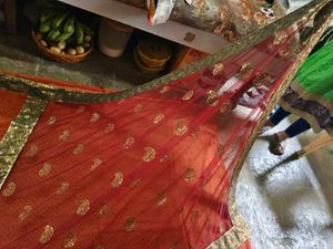 Beautiful Orange Ethnic Saree