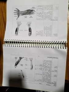ANATOMY AND PHYSIOLOGY Textbook( BSC NURSING)