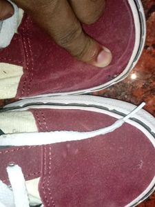 Vans Of The Wall