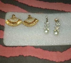 Elegant Pair of Earrings