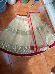 Sequin Lehenga Choli Set