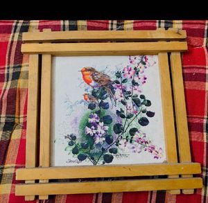Framed Bird Painting