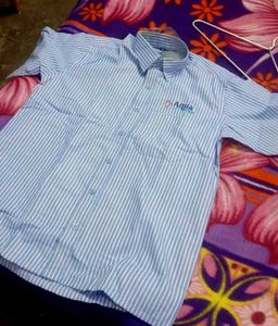 Men's Blue Striped Short Sleeve Shirt