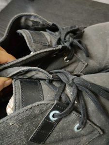 Men's Casual Chukka Boots