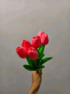 Rose Flowered🌷