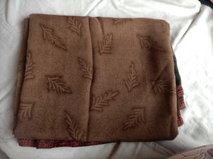 Traditional Indian Saree
