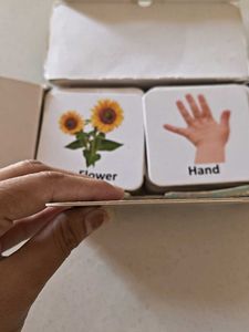 All in One Flash Cards Set